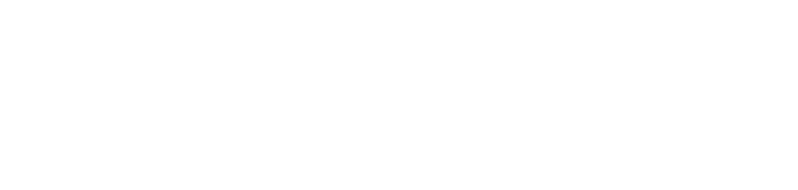 Reiter Revue Logo